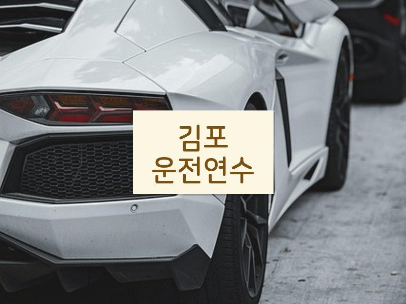 김포운전연수 후기