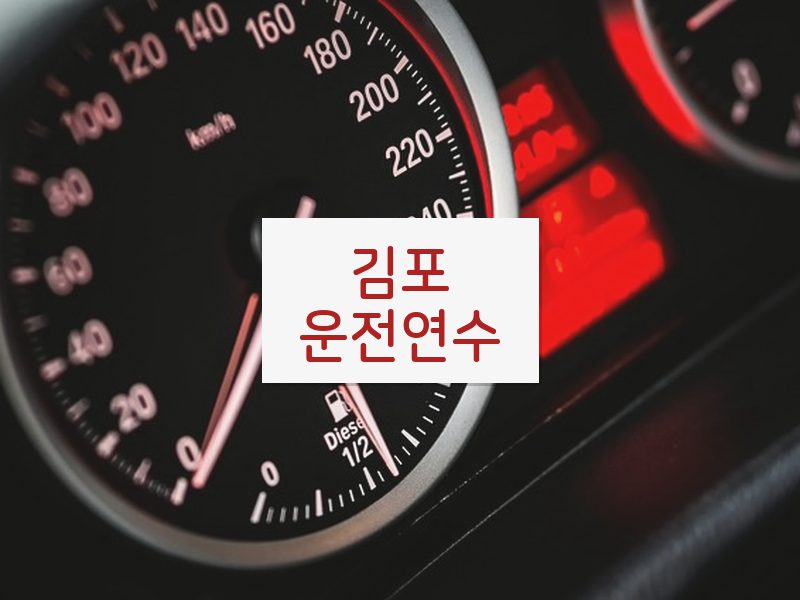 김포운전연수 후기