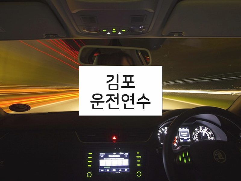 김포운전연수 후기