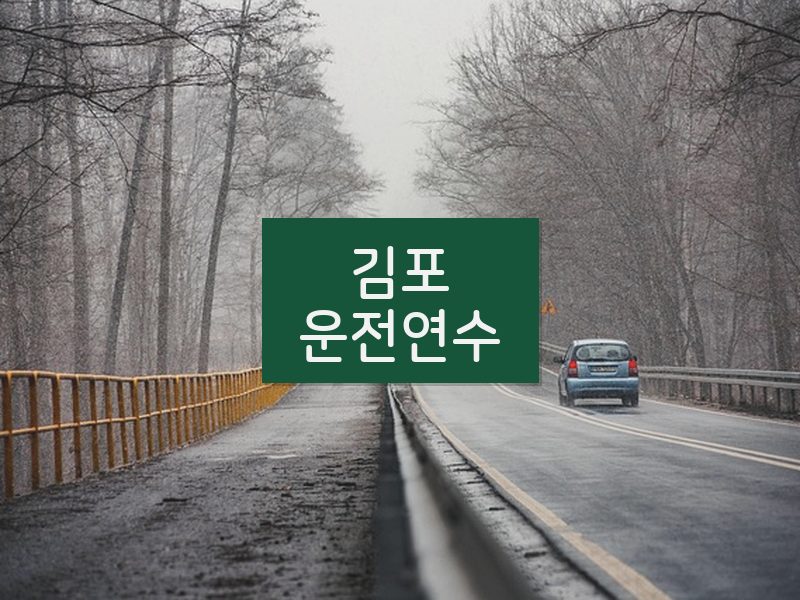 김포운전연수 후기