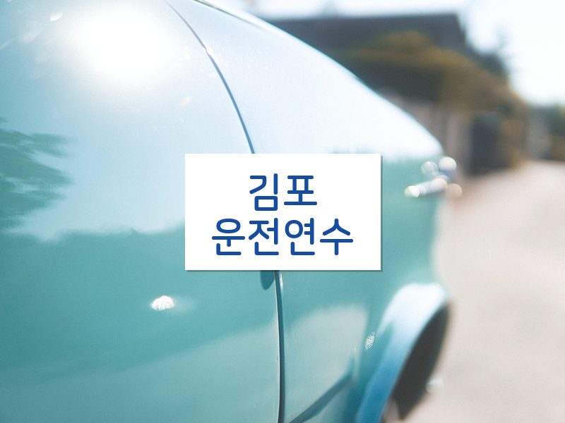 김포운전연수 후기