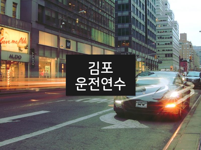 김포운전연수 후기