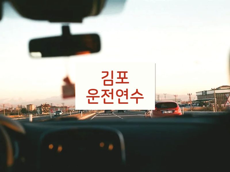 김포운전연수 후기