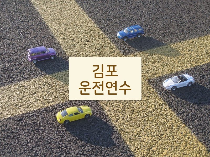 김포운전연수 후기