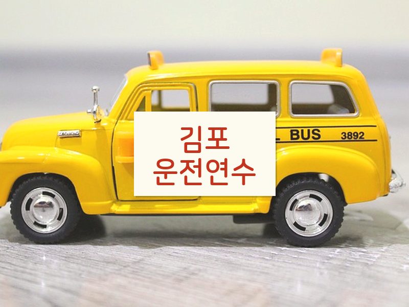 김포운전연수 후기
