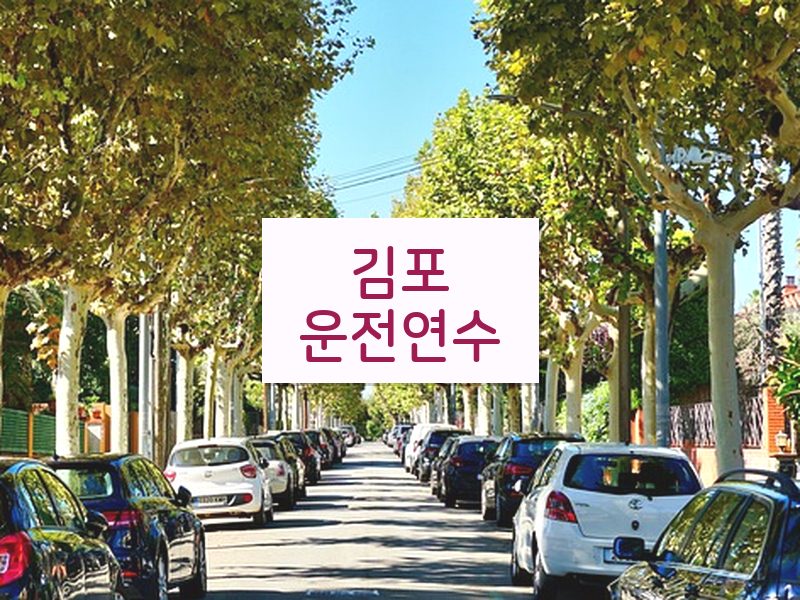 김포운전연수 후기