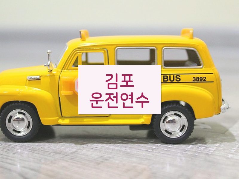 김포운전연수 후기