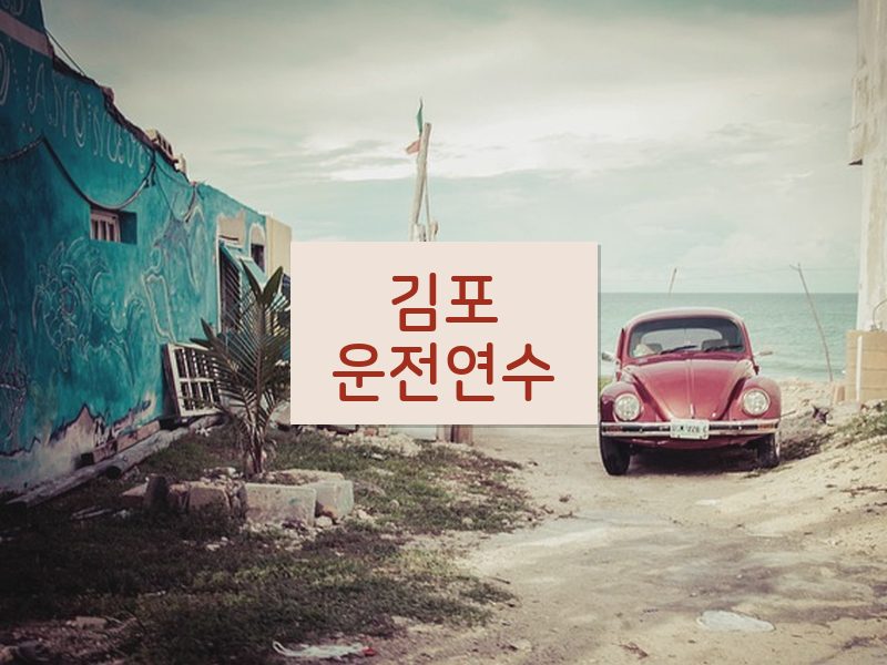 김포운전연수 후기