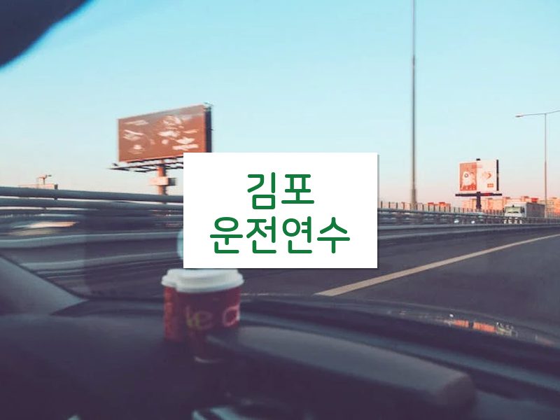 김포운전연수 후기