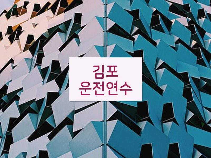 김포운전연수 후기