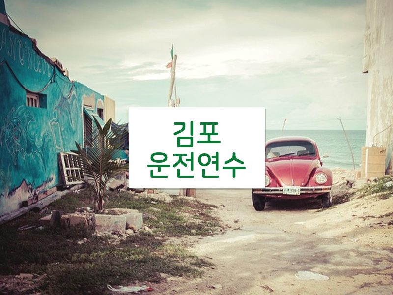 김포운전연수 후기