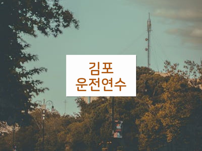 김포운전연수 후기