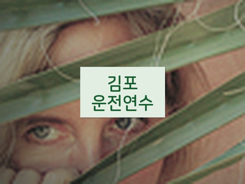 김포운전연수 후기