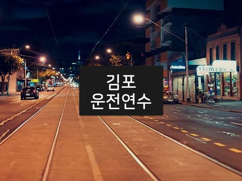 김포운전연수 후기