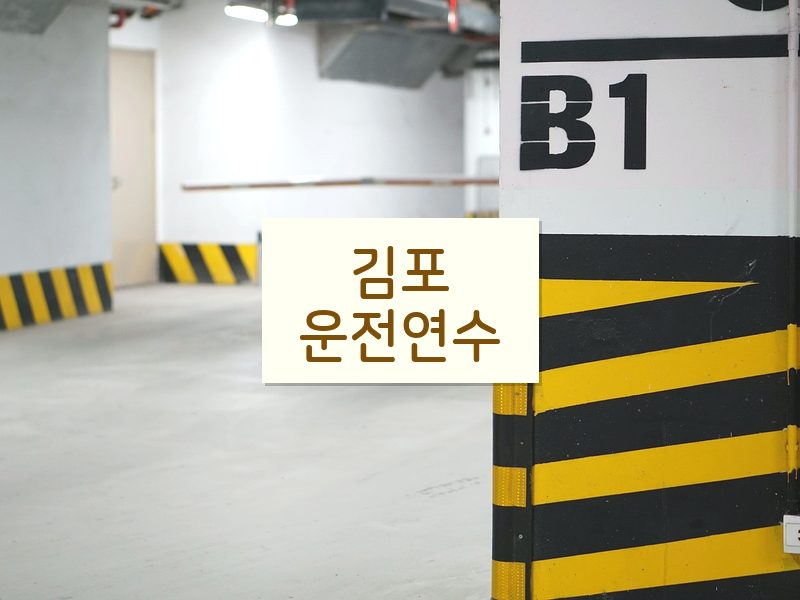 김포운전연수 후기