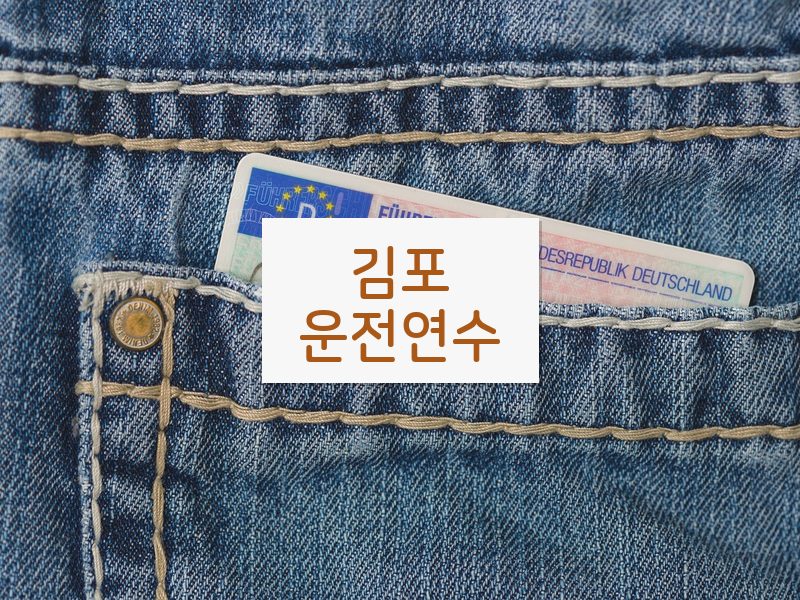 김포운전연수 후기