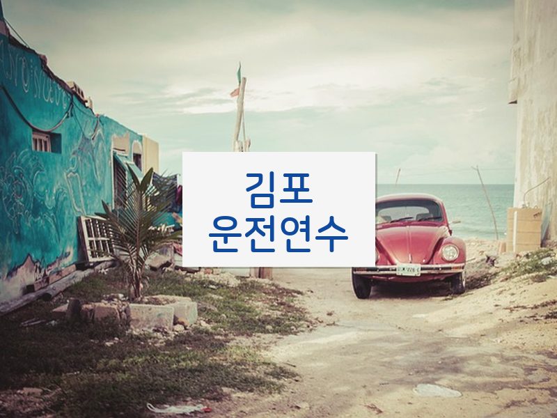 김포운전연수 후기