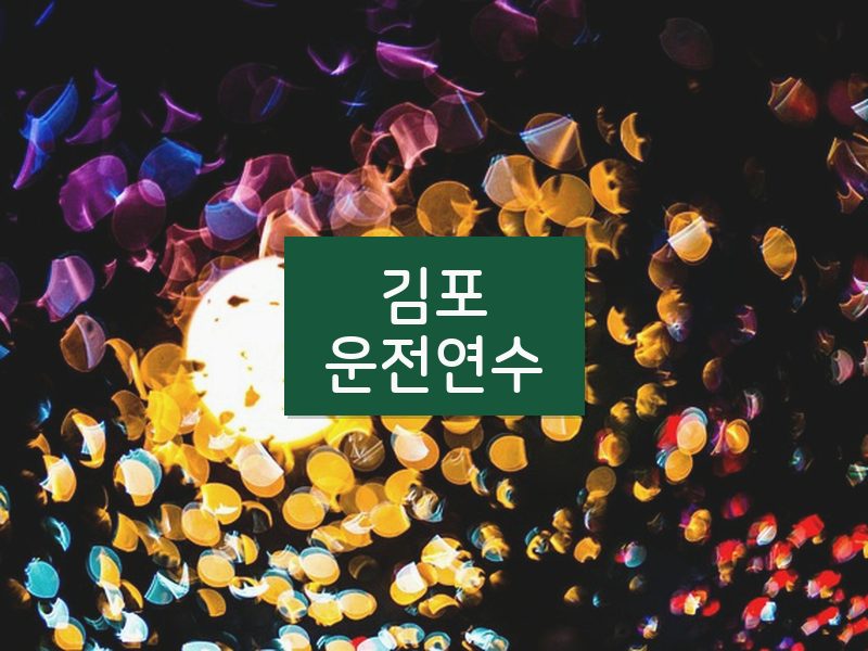 김포운전연수 후기