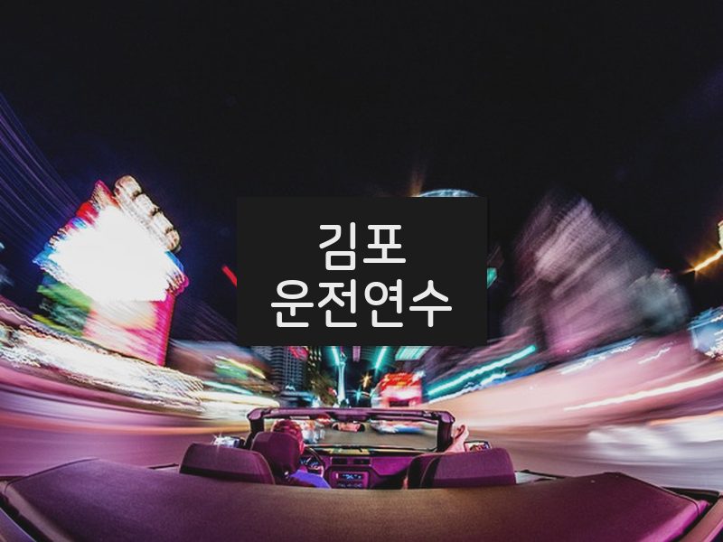 김포운전연수 후기