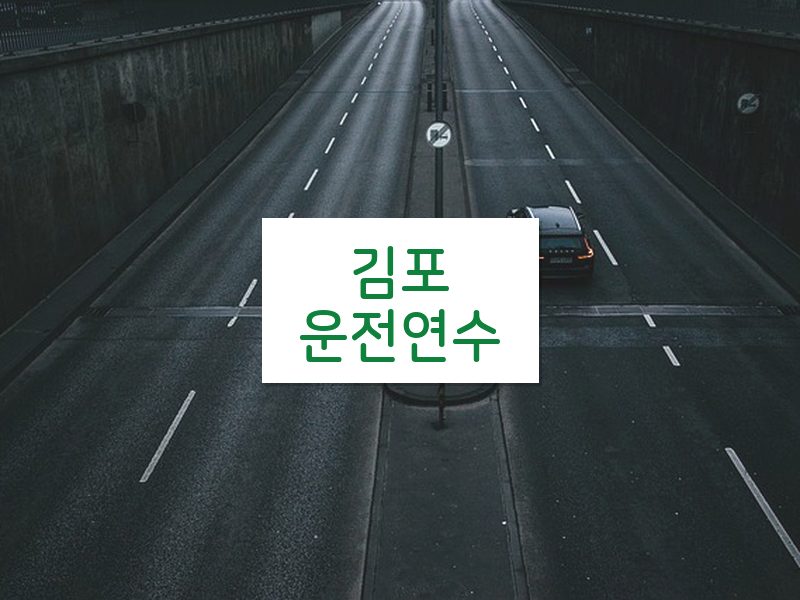 김포운전연수 후기