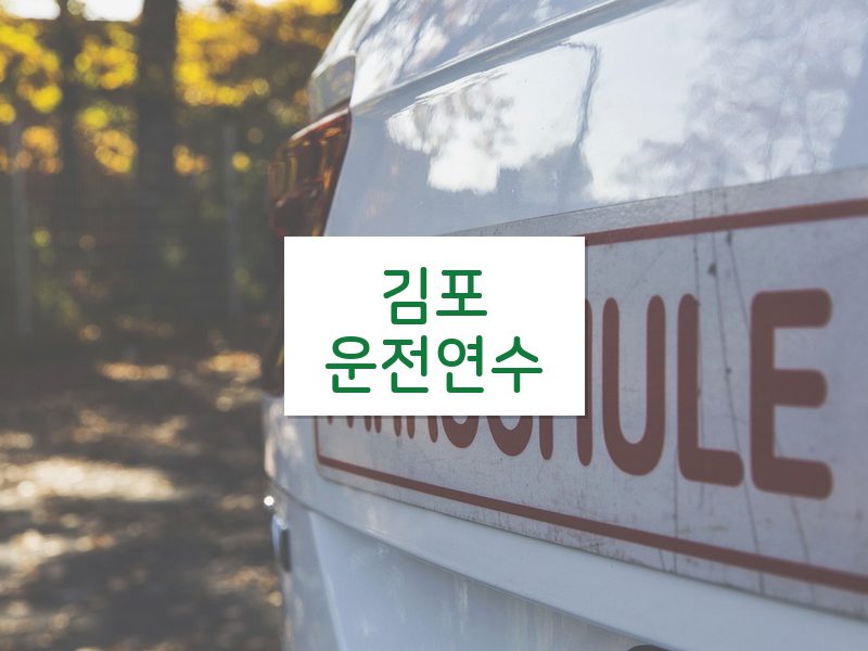 김포운전연수 후기