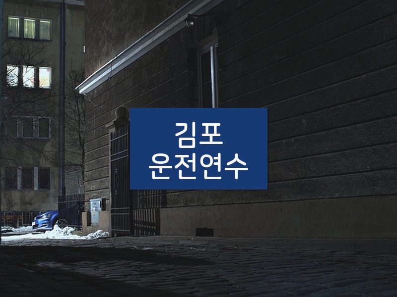 김포운전연수 후기