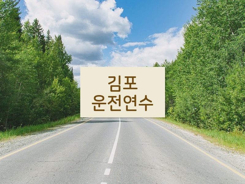 김포운전연수 후기