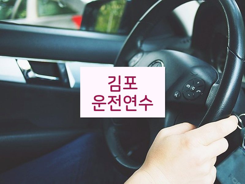김포운전연수 후기