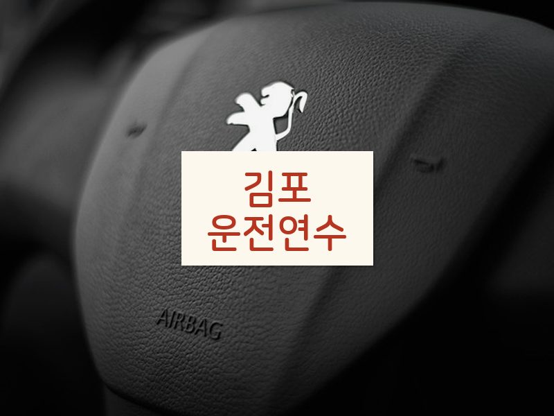 김포운전연수 후기