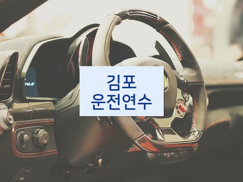 김포운전연수 후기