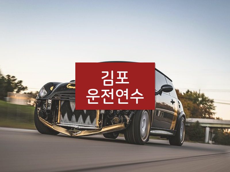 김포운전연수 후기