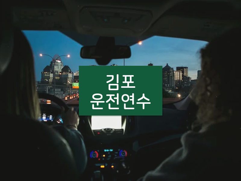 김포운전연수 후기