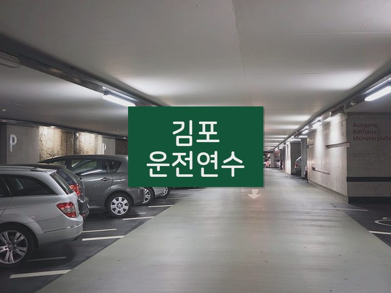 김포운전연수 후기