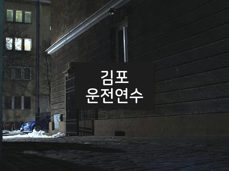 김포운전연수 후기