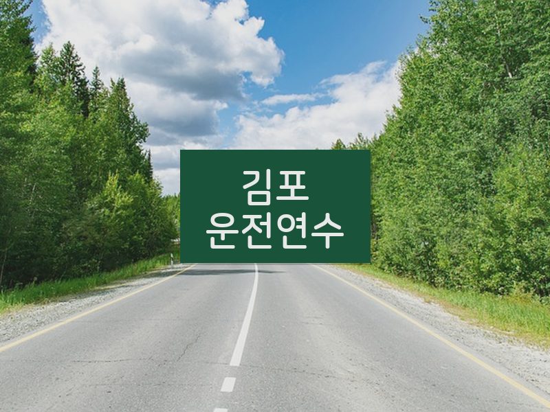 김포운전연수 후기