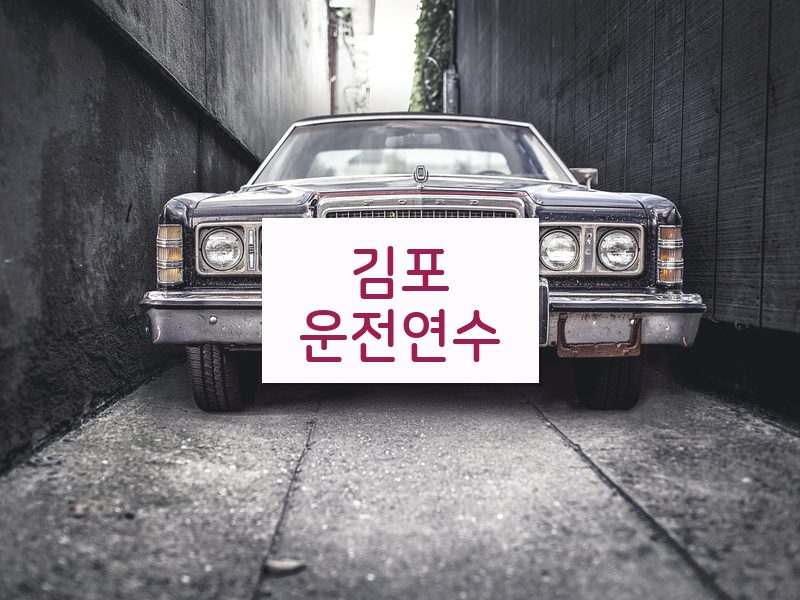 김포운전연수 후기