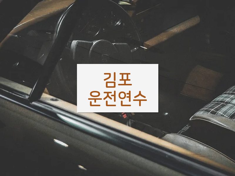 김포운전연수 후기