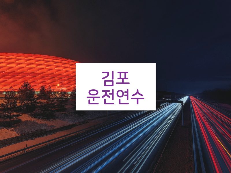 김포운전연수 후기