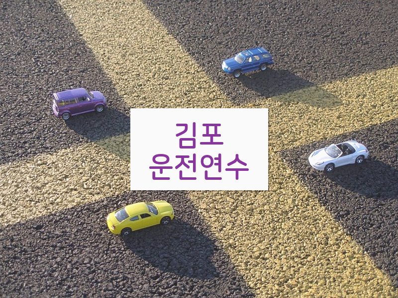 김포운전연수 후기