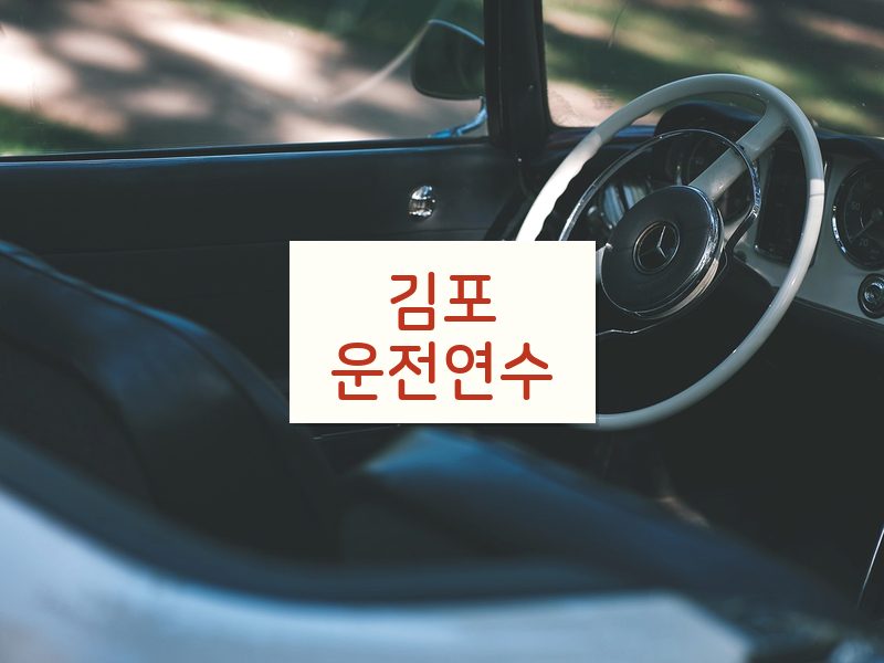 김포운전연수 후기