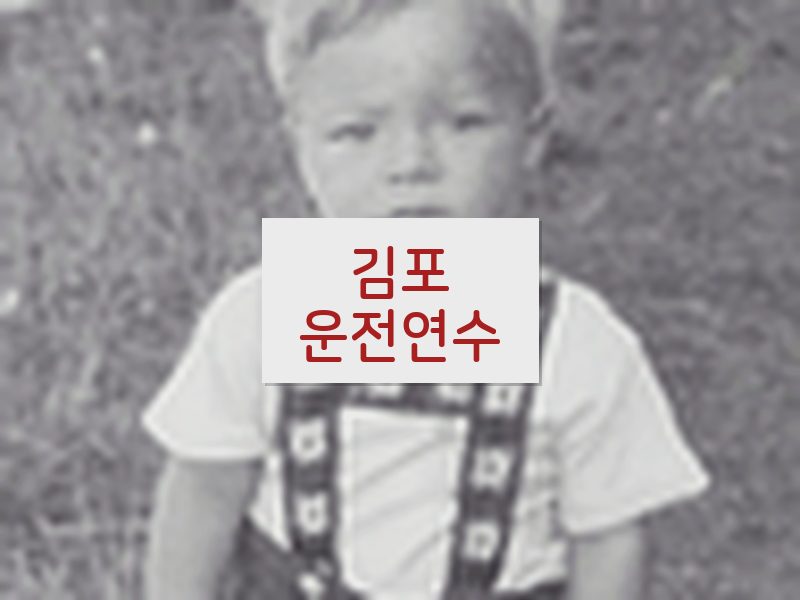 김포운전연수 후기