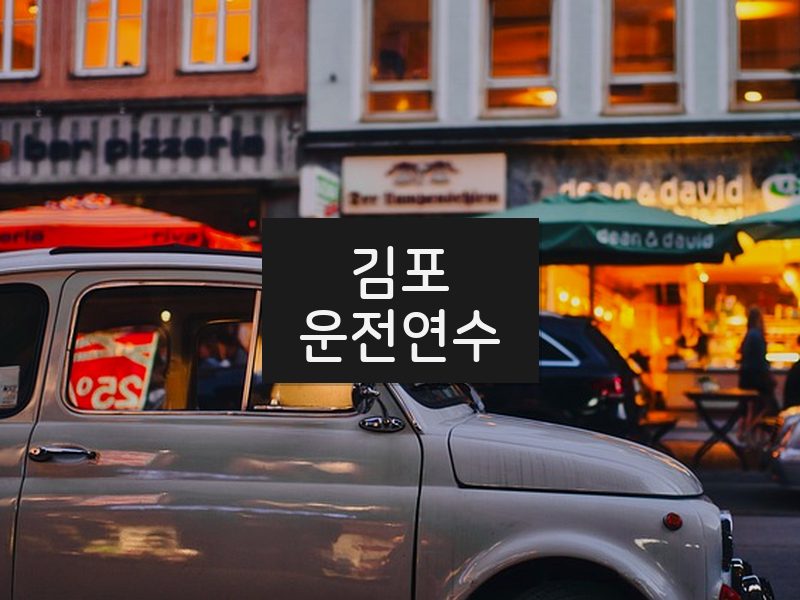 김포운전연수 후기