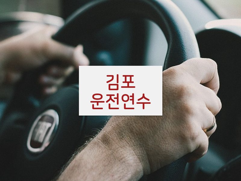 김포운전연수 후기