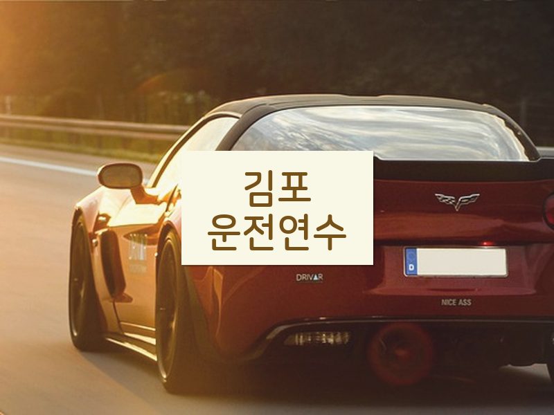 김포운전연수 후기