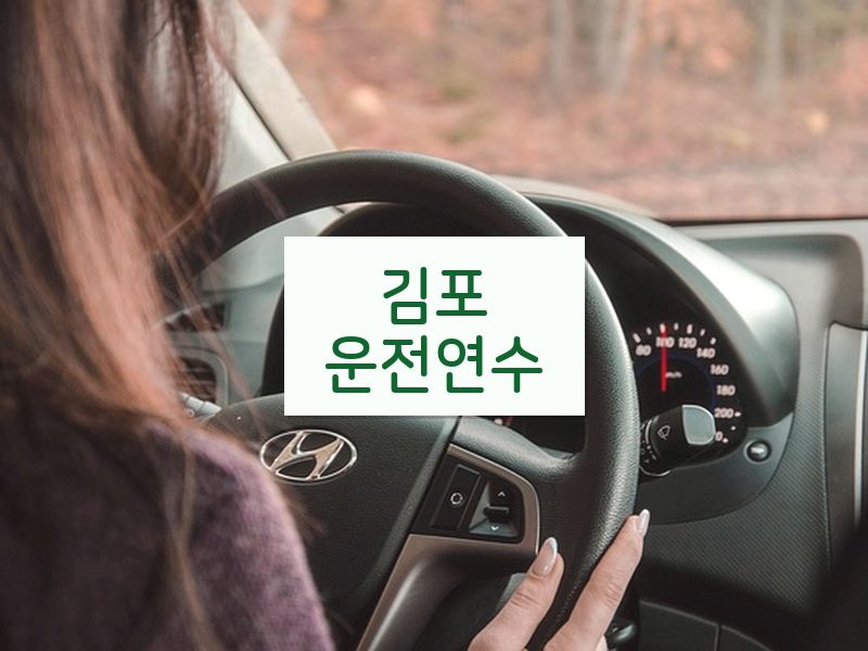김포운전연수 후기