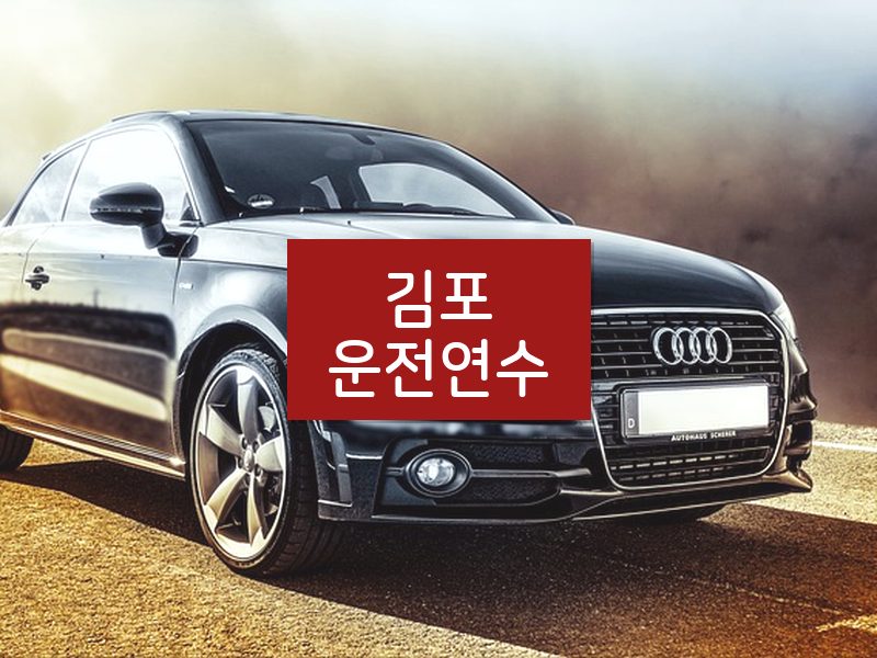 김포운전연수 후기