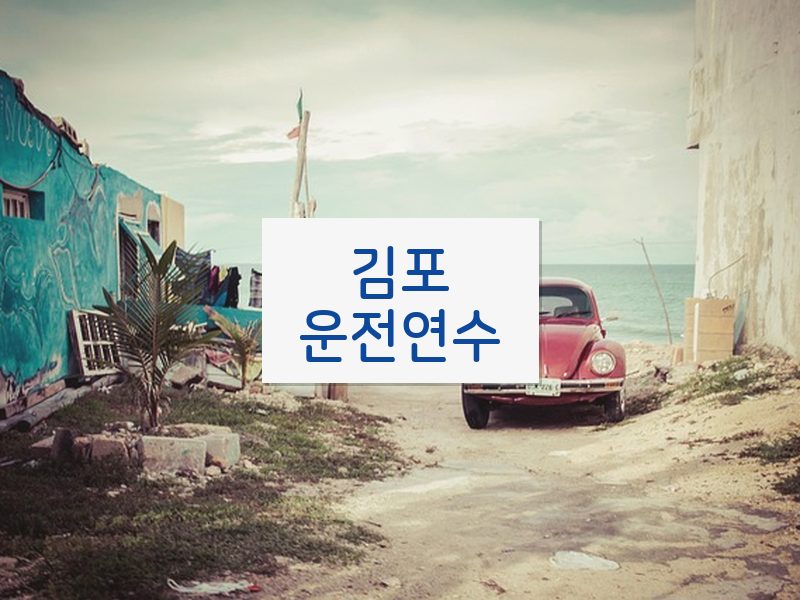 김포운전연수 후기