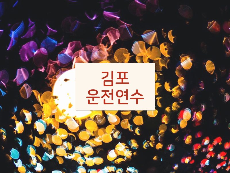 김포운전연수 후기