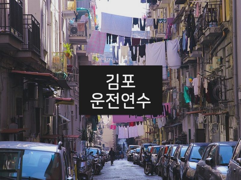 김포운전연수 후기