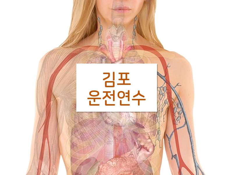 김포운전연수 후기